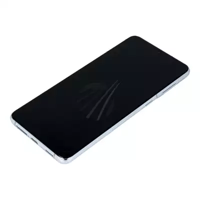 Wyświetlacz do Samsung Galaxy S21+ SM-G996 (bez kamery) - srebrny