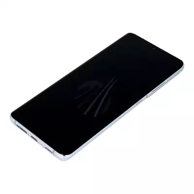 Wyświetlacz do Samsung Galaxy S21 Ultra SM-G998 (bez kamery) - srebrny