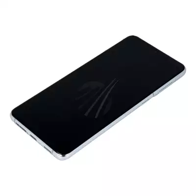 Wyświetlacz do Samsung Galaxy S21+ SM-G996 - srebrny